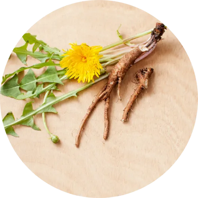 Dandelion Root Powder