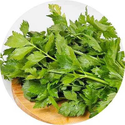 Celery