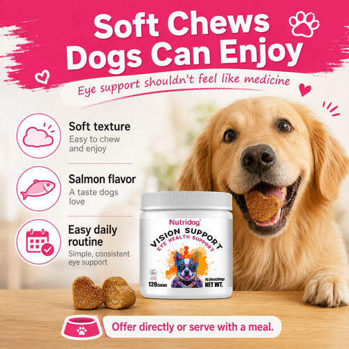 Nutridog Lutein & Zeaxanthin Vision Support Chews for Dogs - 120 Count