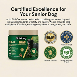 NUTRIDOG Senior Dog Vitamins - Joint, Energy & Coat Support