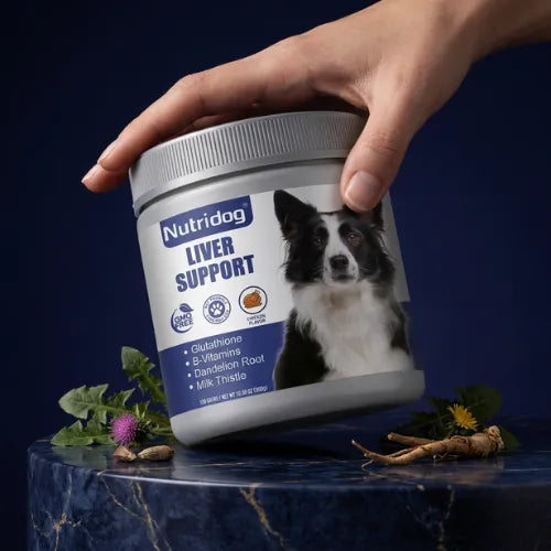 Nutridog Liver Support supplement jar held by a hand on a dark blue background.