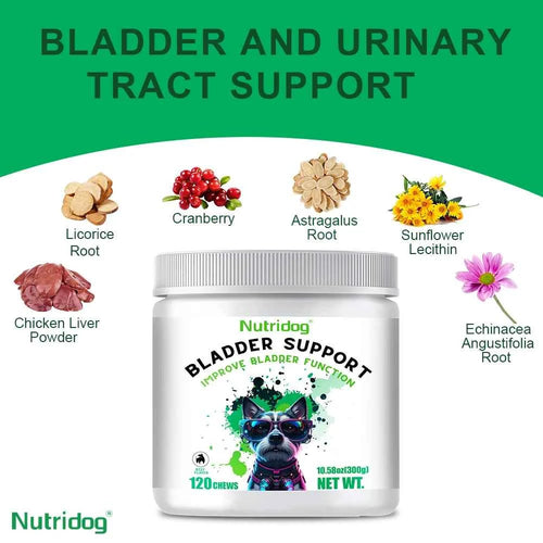 Dog Bladder Health Supplements with Cranberry - Supports Urinary Tract Function for Senior Dogs - Beef flavor 120 soft chews