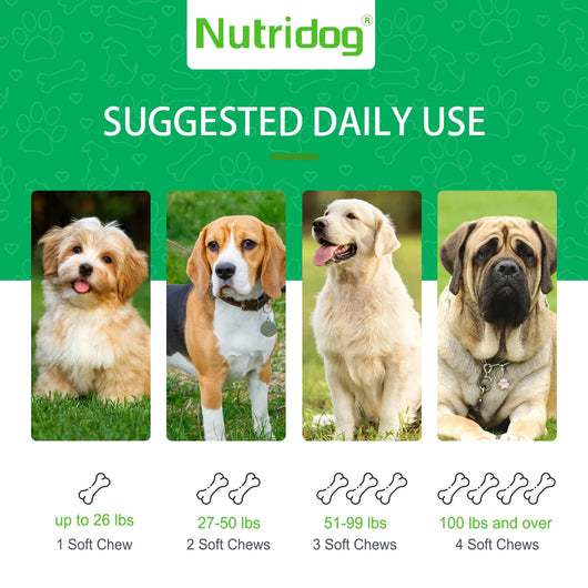 Dog Bladder Health Supplements with Cranberry - Supports Urinary Tract Function for Senior Dogs - Beef flavor 120 soft chews