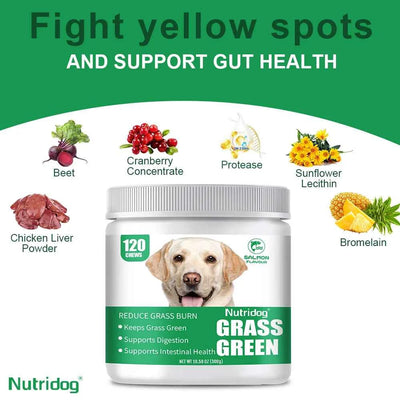 Grass Green Dog Chews - Lawn Urine Neutralizer, Reduces Urine Burns to Grass, Keeps Grass Green, Maintains Intestinal Health