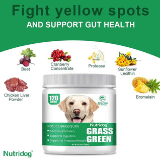 Nutridog Grass Green Dog Chews - Lawn Urine Neutralizer