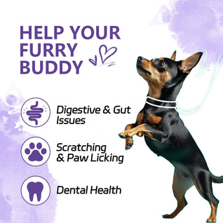 NUTRIDOG 3-in-1 Dog Calming Chews - Allergy & Digestive Support