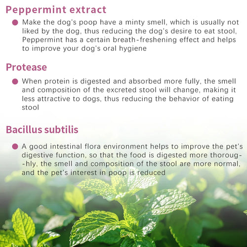 Dog Food No Poop With Probiotics - Reduces stool volume&improves soft stools Supports digestive health for sensitive stomachs