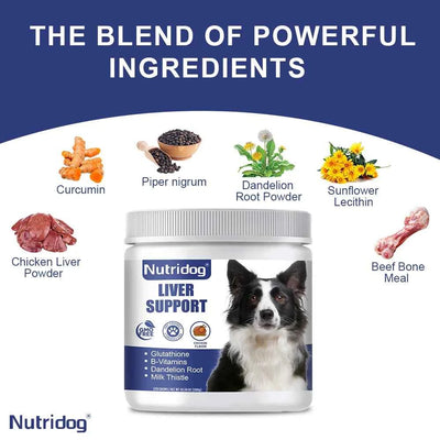 Liver Support Chews for Dogs With Milk Thistle & Curcumin - Liver Detox, Kidney & Hepatic Support -Chicken Flavor 120 Soft Chews