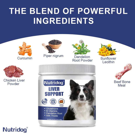 Liver Support Chews for Dogs With Milk Thistle & Curcumin - Liver Detox, Kidney & Hepatic Support -Chicken Flavor 120 Soft Chews