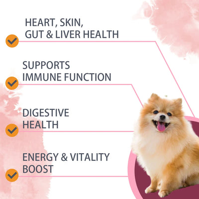 NUTRIDOG Dog Multivitamin Chews Probiotics Glucosamine Digestive Enzymes Supports Joint Health Immune System Gut 30 PCS/Bottle - NUTRIDOG
