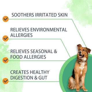 Nutridog Anti-Allergy Supplement Powder for Dogs - 90g