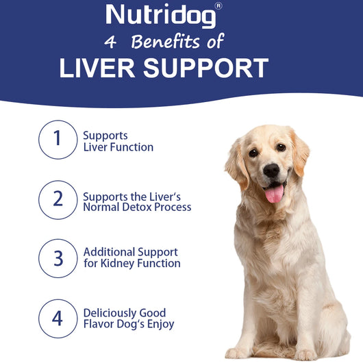 NUTRIDOG Dog Liver Support Chews Milk Thistle Curcumin Livers Detox Kidney Hepatic Support Chicken Flavor 120 PCS/Bottle - NUTRIDOG