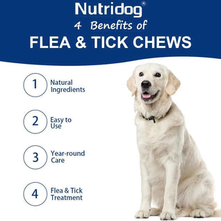 Nutridog Daily Flea & Tick Deterrent Chews with Garlic & Flaxseed - 300g