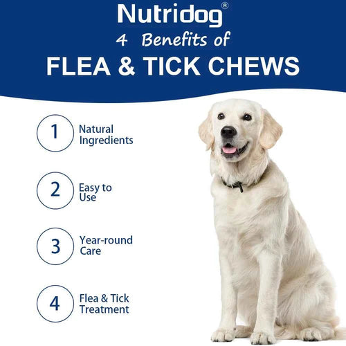 Flea & Tick Chews For Dog with Garlic Flaxseed | Skin Health Support & Bites Prevention - Chicken flavor 120 Soft Chews