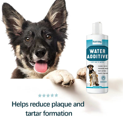 NUTRIDOG Dog&Cat Dental Water Additive Fresh Breath Dental Care Supplement Eliminate Plaque and Bad Breath - NUTRIDOG