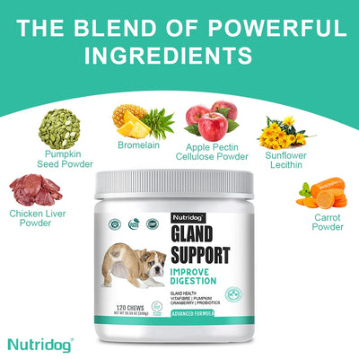 NUTRIDOG Dog Anal Gland Support  Pumpkin Seed Probiotics Digestive Enzymes Scoot Relief Digestive Health 120 PCS/Bottle - NUTRIDOG