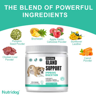 NUTRIDOG Dog Anal Gland Support  Pumpkin Seed Probiotics Digestive Enzymes Scoot Relief Digestive Health 120 PCS/Bottle