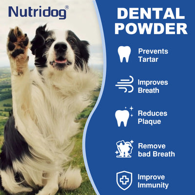 NUTRIDOG Dental Care Powder with Green Tea Plaque Remover for Dogs&Cats Prevent Periodontal Disease Bad Breath