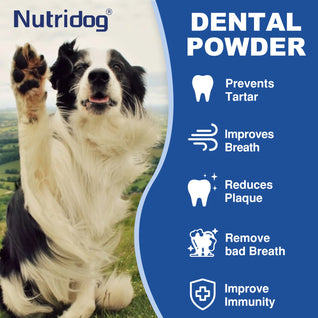 Nutridog Green Tea Pet Dental Care Powder - 90g
