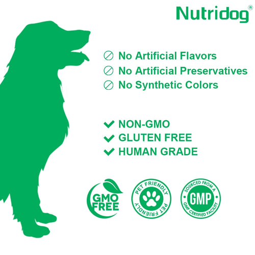 Dog Bladder Health Supplements with Cranberry - Supports Urinary Tract Function for Senior Dogs - Beef flavor 120 soft chews