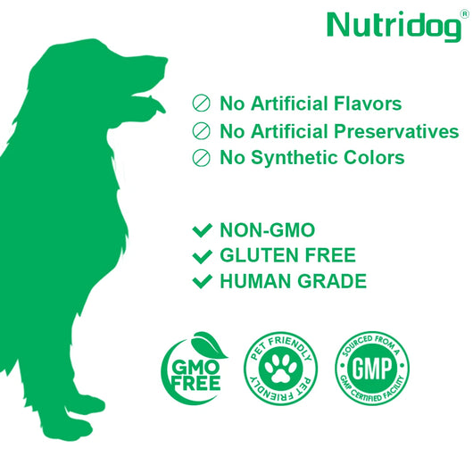 Dog Bladder Health Supplements with Cranberry - Supports Urinary Tract Function for Senior Dogs - Beef flavor 120 soft chews