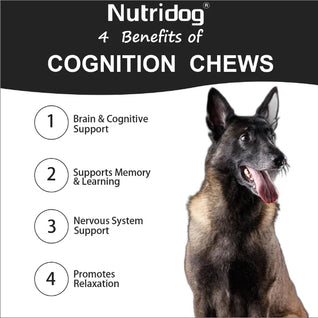 NUTRIDOG Dog Cognition Chews DHA Glycerophosphocholine Chew Support Delays Canine Dementia Enhances Memory 120 PCS/Bottle