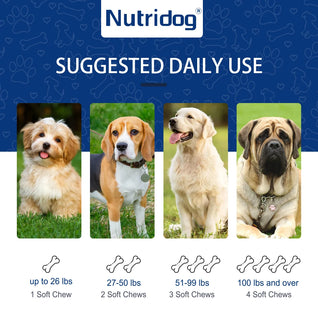 Nutridog Daily Flea & Tick Deterrent Chews with Garlic & Flaxseed - 300g