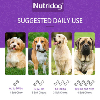 Nutridog Turmeric Curcumin Joint & Gut Support Chews for Dogs - 120 Count