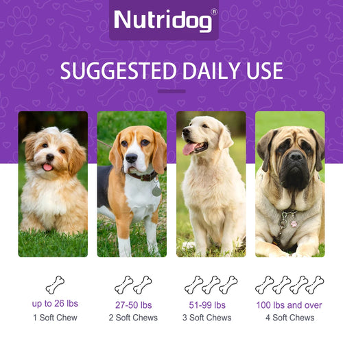 Turmeric Chews For Dog - Anti-inflammatory joint care with Contains glucosamine&chondroitin - Digestive support-120 soft chews