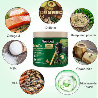 NUTRIDOG Senior Dog Vitamins - Joint, Energy & Coat Support