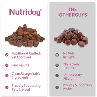 Nutridog Firm Stool & Digestive Probiotic Chews for Sensitive Dogs (300g)