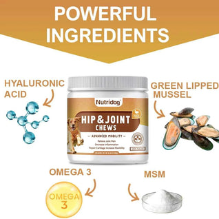 Nutridog Hip & Joint Chews