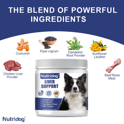 NUTRIDOG Dog Liver Support Chews Milk Thistle Curcumin Livers Detox Kidney Hepatic Support Chicken Flavor 120 PCS/Bottle - NUTRIDOG