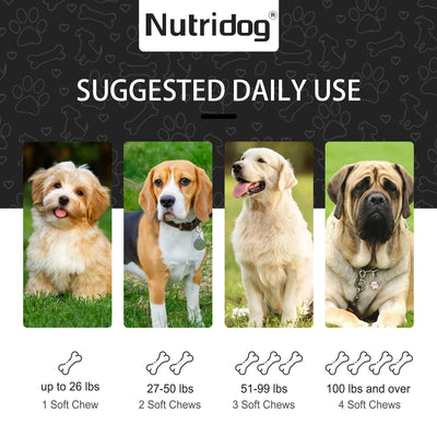 NUTRIDOG Dog Cognition Chews DHA Glycerophosphocholine Chew Support Delays Canine Dementia Enhances Memory 120 PCS/Bottle