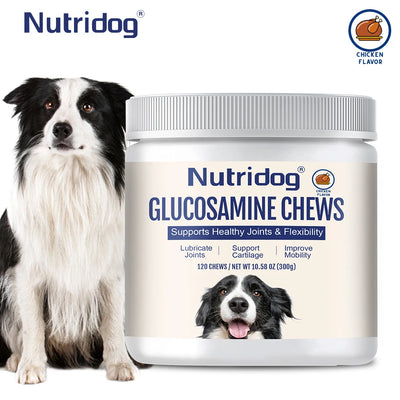 Joint Nutritional Supplement for Dogs, with Glucosamine,Curcumin&MSM, Lubricates Joints, Joint Pain Relief，For Senior Dogs,120ct