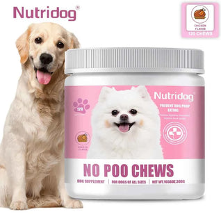 Nutridog Firm Stool & Digestive Probiotic Chews for Sensitive Dogs (300g)