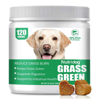 Nutridog Grass Green Dog Chews - Lawn Urine Neutralizer