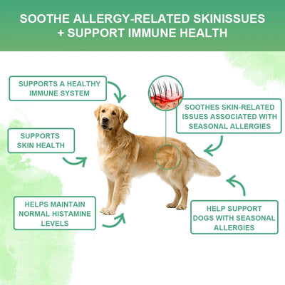 NUTRIDOG Dog Anti-Allergy Chews Salmon Flavor Soft Chew Allergy Relief Skin Health Coat Defense 120 PCS/Bottle - NUTRIDOG