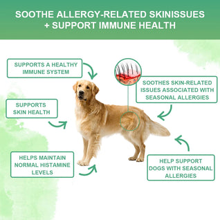 NUTRIDOG Dog Anti-Allergy Chews Salmon Flavor Soft Chew Allergy Relief Skin Health Coat Defense 120 PCS/Bottle