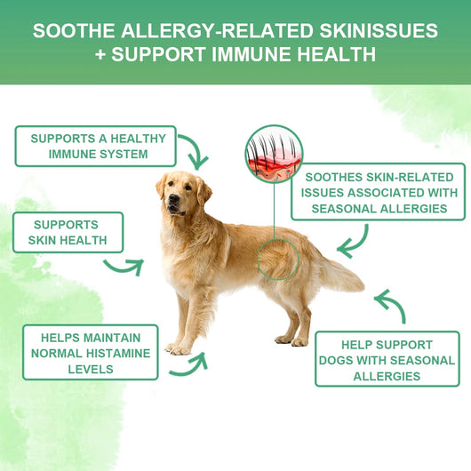 NUTRIDOG Dog Anti-Allergy Chews Salmon Flavor Soft Chew Allergy Relief Skin Health Coat Defense 120 PCS/Bottle - NUTRIDOG