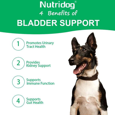 Dog Bladder Health Supplements with Cranberry - Supports Urinary Tract Function for Senior Dogs - Beef flavor 120 soft chews