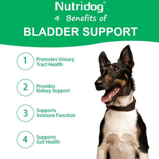 Nutridog Cranberry Bladder & Urinary Tract Support Chews for Dogs - 120 Soft Chews