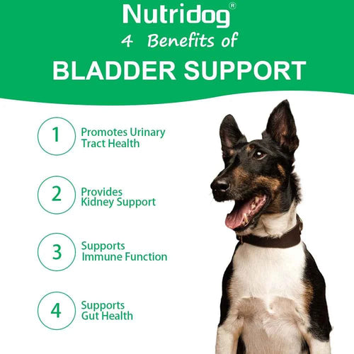 Dog Bladder Health Supplements with Cranberry - Supports Urinary Tract Function for Senior Dogs - Beef flavor 120 soft chews