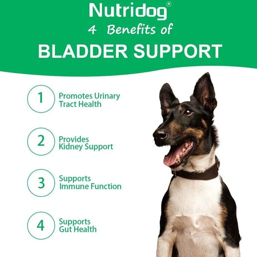 Dog Bladder Health Supplements with Cranberry - Supports Urinary Tract Function for Senior Dogs - Beef flavor 120 soft chews