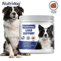 Liver Support Chews for Dogs With Milk Thistle & Curcumin - Liver Detox, Kidney & Hepatic Support -Chicken Flavor 120 Soft Chews
