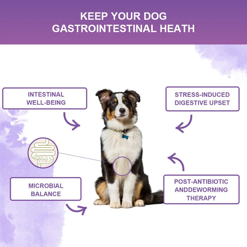 NUTRIDOG 3-in-1 Dog Calming Chews - Allergy & Digestive Support