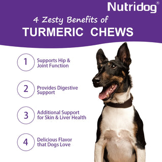 Nutridog Turmeric Curcumin Joint & Gut Support Chews for Dogs - 120 Count