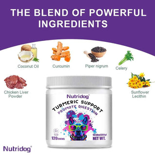 Nutridog Turmeric Curcumin Joint & Gut Support Chews for Dogs - 120 Count