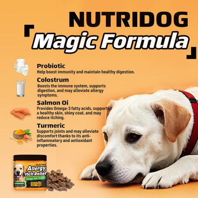 NUTRIDOG Dog Allergy Itch Relief Chews Omega-3 Vitamin C Support Skin For Dog Immune Health Supplement Nutrition 90 PCS/Bottle - NUTRIDOG