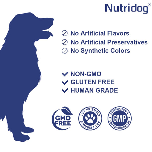 NUTRIDOG Dog Liver Support Chews Milk Thistle Curcumin Livers Detox Kidney Hepatic Support Chicken Flavor 120 PCS/Bottle - NUTRIDOG